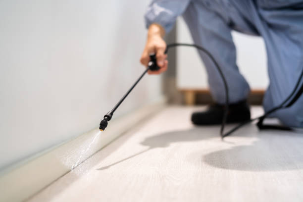 Licensed Pest Control service in Luck, WI - Show Me Pest Control