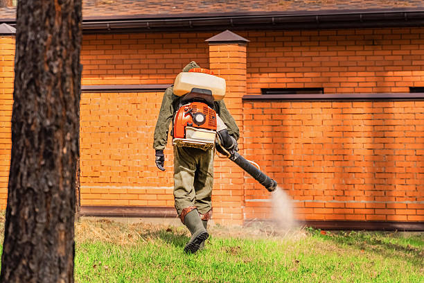 Bed Bug Clearance Verification and Documentation in Luck